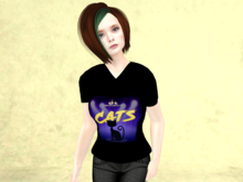 Cinema-Cats-Ladies V-neck T-shirt