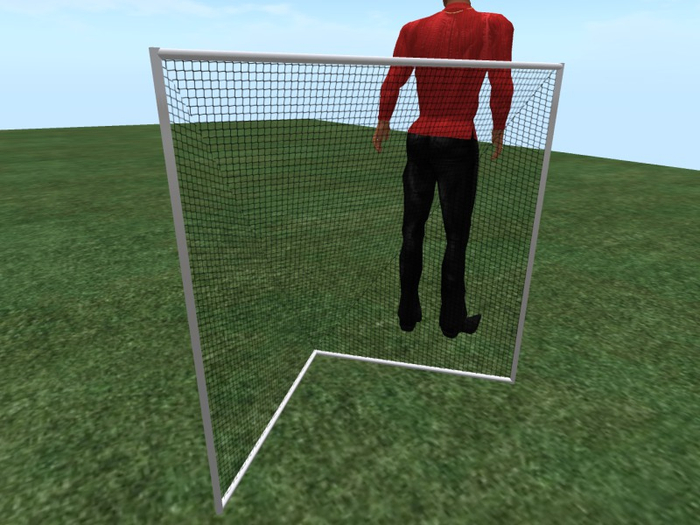 TM Lacrosse Goal - Net