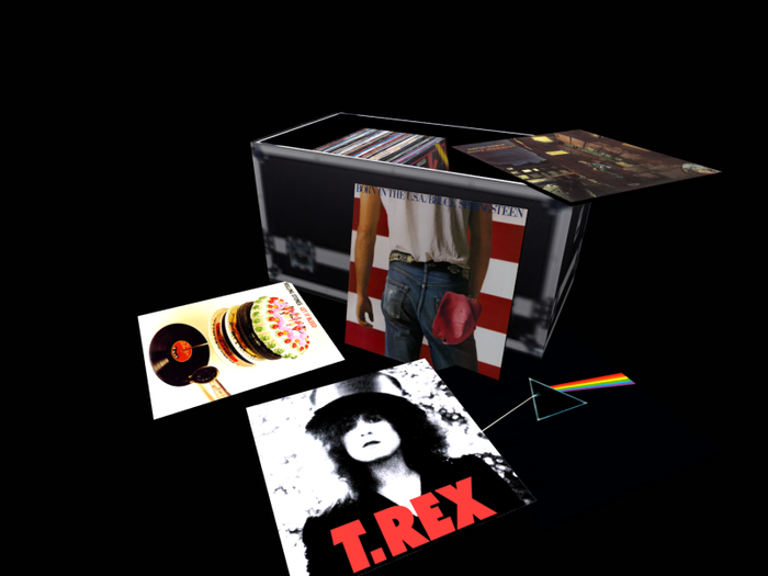 Vinyl Records Flight box- Moose