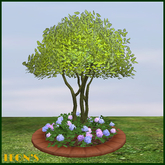 Planter, Hortensia & Spring-Tree, Terracotta Tile - RESIZE COPY