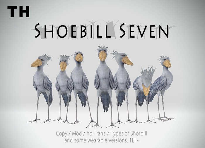 :-TH-: Shoebill Seven