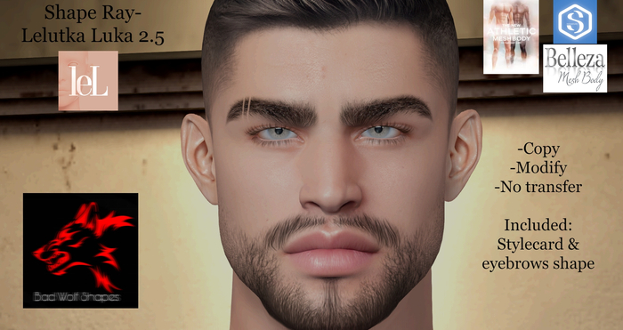 SHAPE RAY-LELUTKA LUKA 2.5