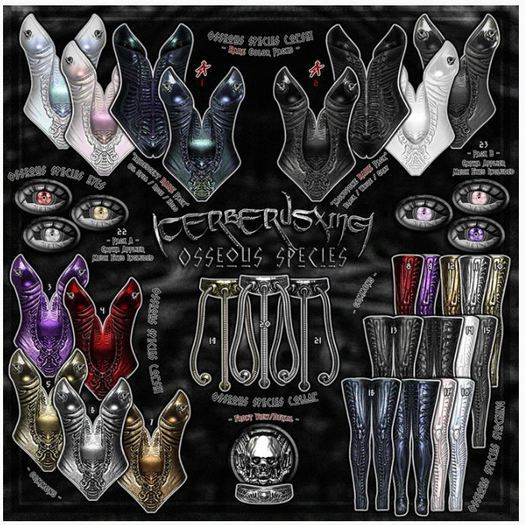 10. [CX] Osseous Species Stocking - Gold - M