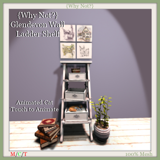 {Why Not?} Glendevon Wall Ladder Shelf-Boxed