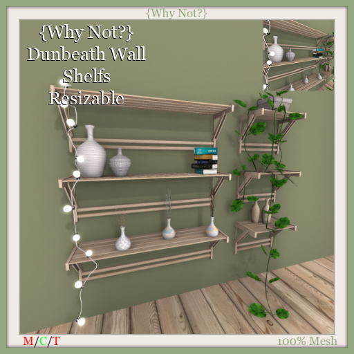 {Why Not?} Dunbeath Wall Sheves-Boxed