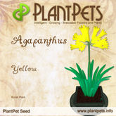 PlantPet Seed [Agapanthus *Yellow*]