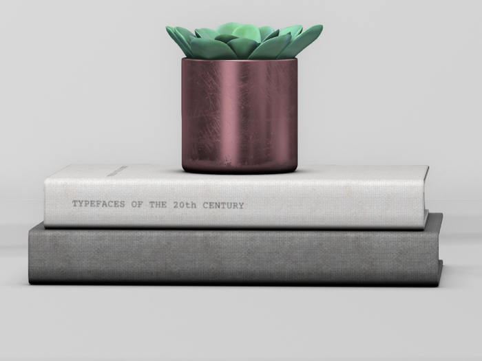 Fancy Decor: Harmon Books & Plant