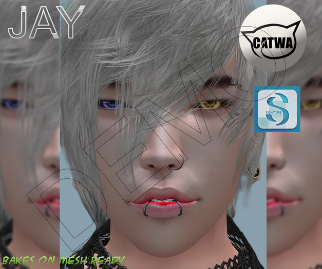 BoM JAY DEMO SKIN