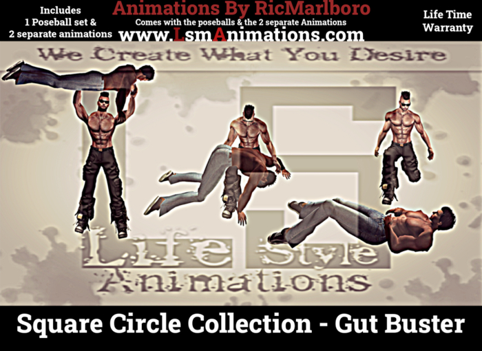 Square Circle Collection - Gut Buster
