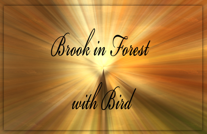 Bunny's Sounds-Brook in Forest with Bird(Full Perm Bird Sounds)