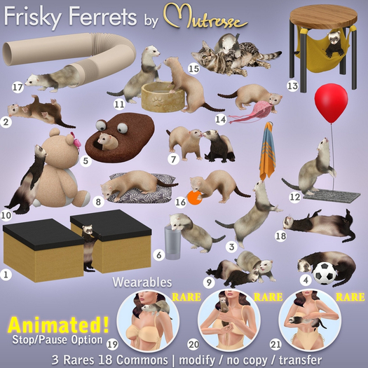 Mutresse - Frisky Ferrets - 8