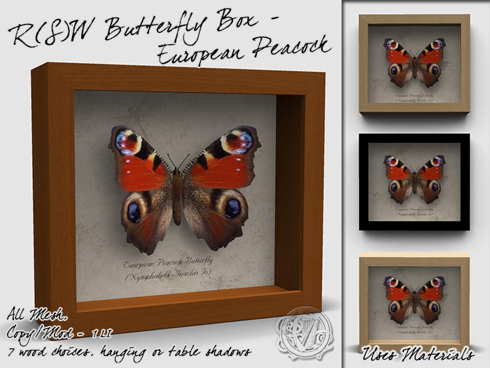 R(S)W Butterfly Box - European Peacock