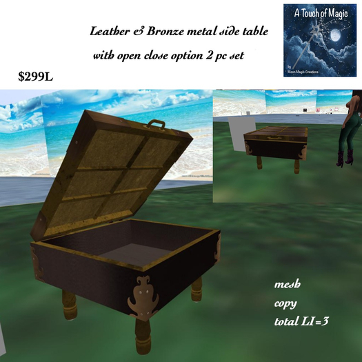 Leahter & Broze Chest side table open/close-Box