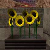 Country Sunflower Planter