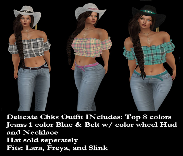ACC ACC Delicate Chks Top Outfit DEMOS Boxed  (ADD)