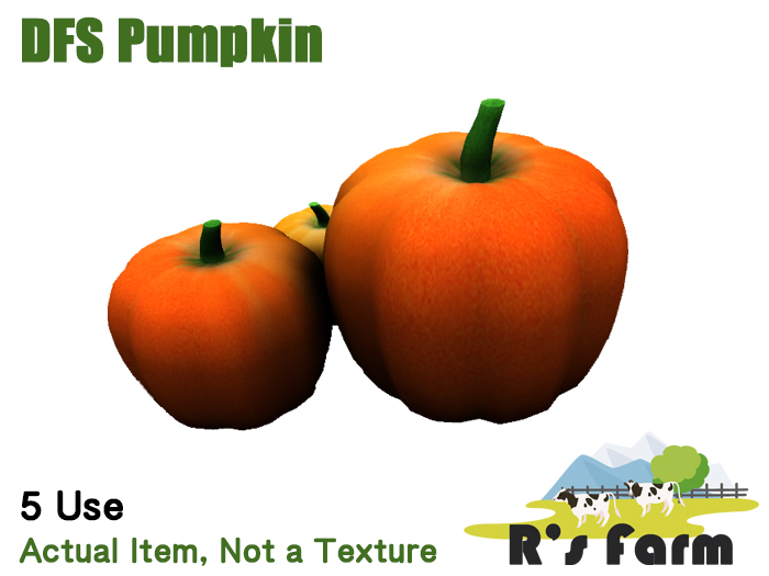 DFS Pumpkin (Actual Item Not a Texture)