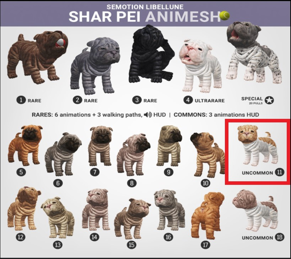 SEmotion Libellune Shar Pei Animesh #11 UNCOMMON