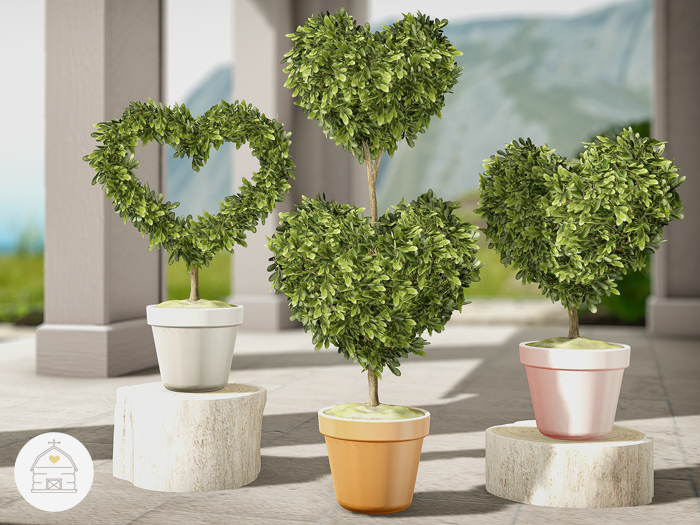 hive // heart boxwood topiary pack