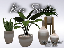 [KO SHIIT] Toscan Terra Decor