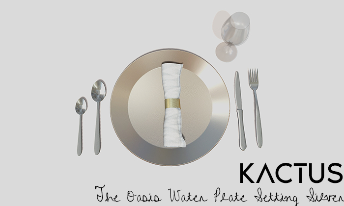 Kactus - The Oasis Water Plate Setting Silver