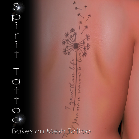 SPT-Dandelion Reason