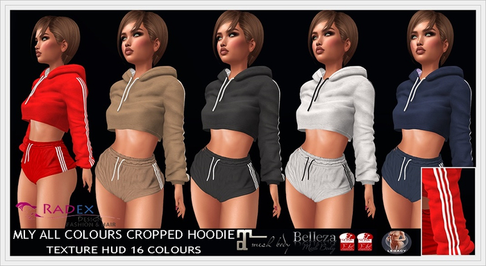 RADEX F 102 Mesh  Mly All Colours Cropped Hoodie