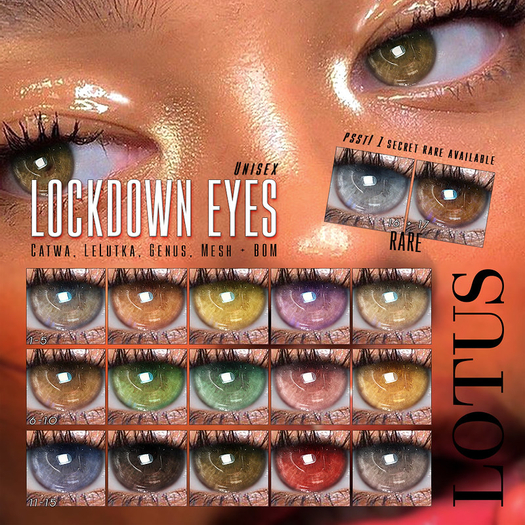 LOTUS. Lockdown Eyes 02 BOX