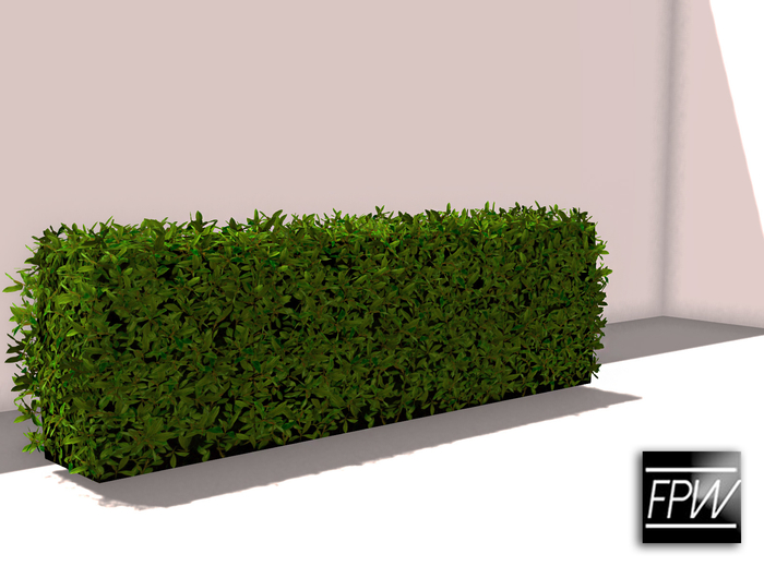 [FPW] BUSH - FULL PERMS