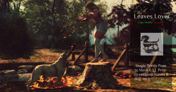 Leaves Lover 