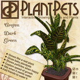 PlantPet Seed [Croton *Dark Green*] *common*