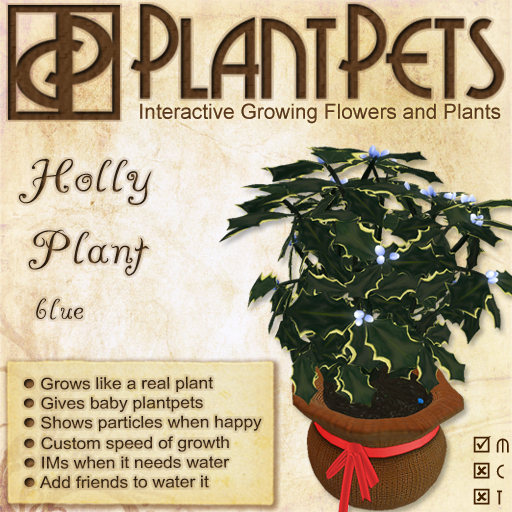 PlantPet Seed [Holly Plant *Blue*] *rare*