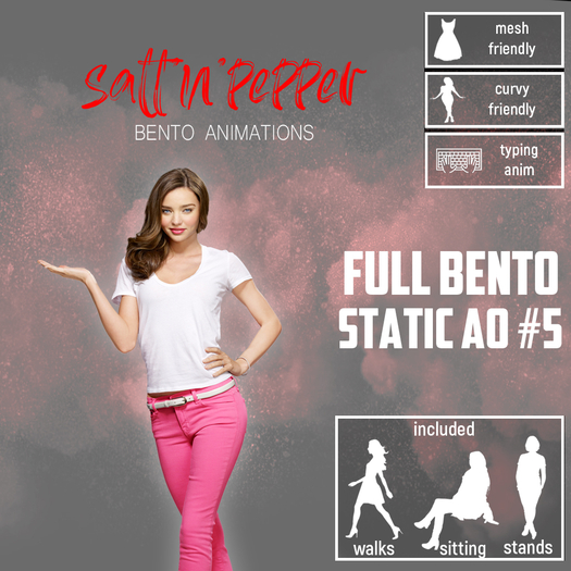 s'n'p bento static AO#5 (packed)