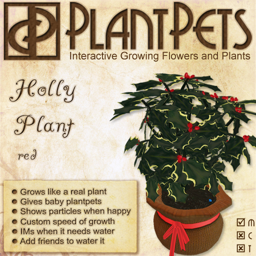PlantPet Seed [Holly Plant *Red*] *common*