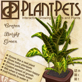 PlantPet Seed [Croton *Bright Green*] *common*