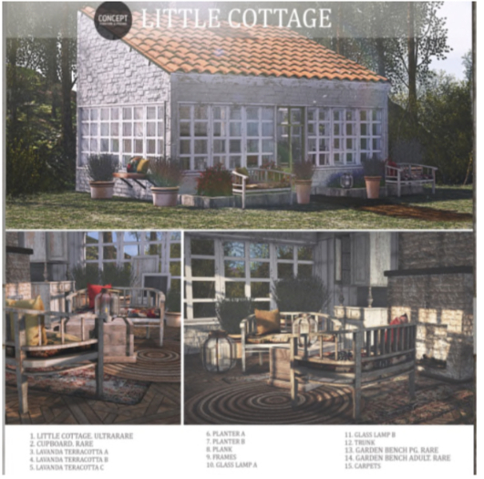 Concept} *15. Little Cottage. House. ULTRARARE