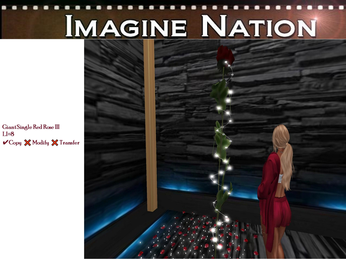 Single Giant Red Rose III