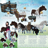 JIAN Precious Ponies 10. Black Companion BOX