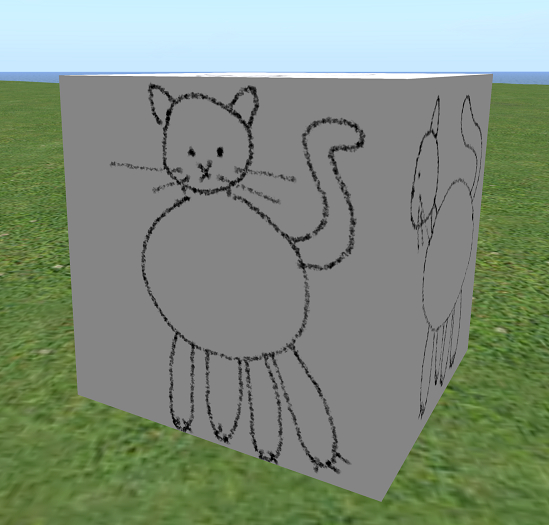 stupid cat