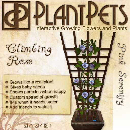 PlantPet Seed [Climbing Rose *Pink Serenity*] *rare*