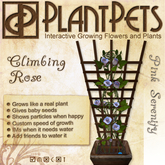 PlantPet Seed [Climbing Rose *Pink Serenity*] *rare*