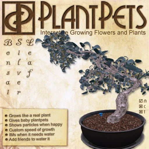 PlantPet Seed [Bonsai *Silver Leaf*] *rare elite*
