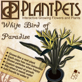 PlantPet Seed [Bird of Paradise *White*] *rare*