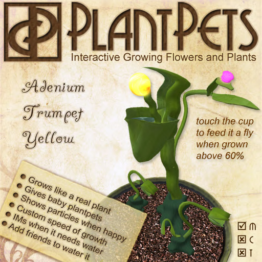 PlantPet Seed [Adenium Trumpet *Yellow*] *common*