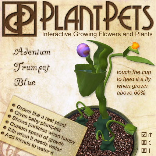 PlantPet Seed [Adenium Trumpet *Blue*] *common*