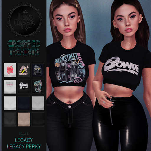 {theLittleDipper} Cropped T-Shirt: FATPACK