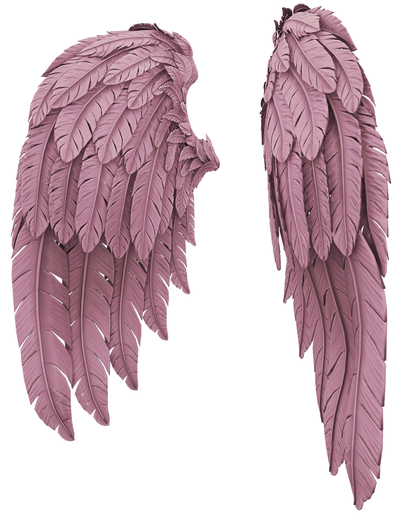RIOT / Cupid's Wings - Rose