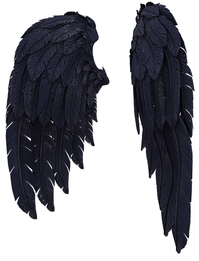 RIOT / Cupid's Wings - Prussian