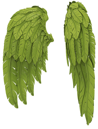 RIOT / Cupid's Wings - Lime