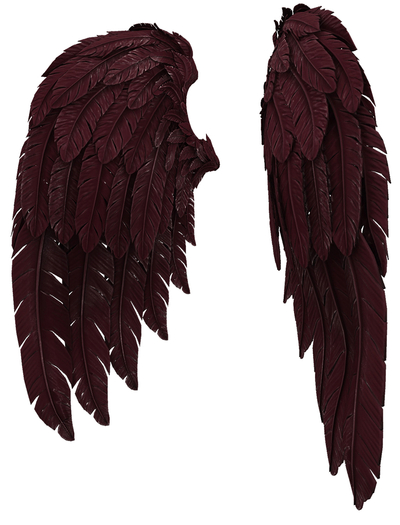 RIOT / Cupid's Wings - Berry