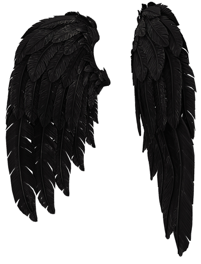 RIOT / Cupid's Wings - Black